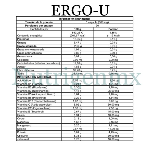 Ergo U - Imagen 2